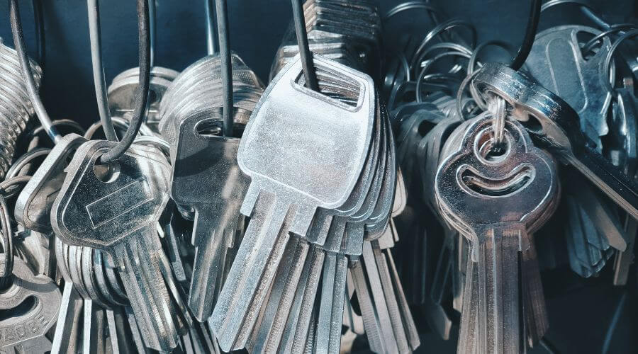 Professional gutter cleaning in Telephone, TX